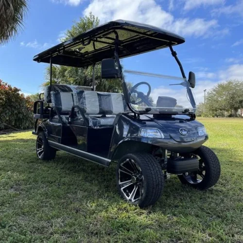 2024 Evolution Electric Vehicles Carrier 6 Plus