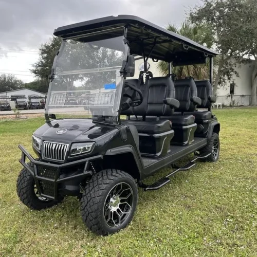 2024 Evolution Electric Vehicles D5-Maverick 6